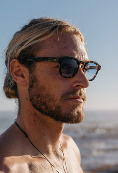 JOE Tourtoise