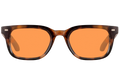 CHIN Code Tortoise
