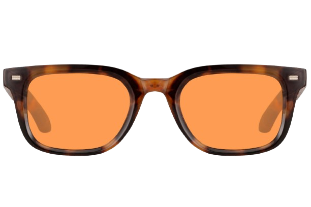 CHIN Code Tortoise